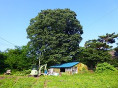 P1000733