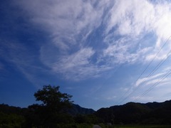 P1000835