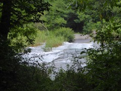 P1000933