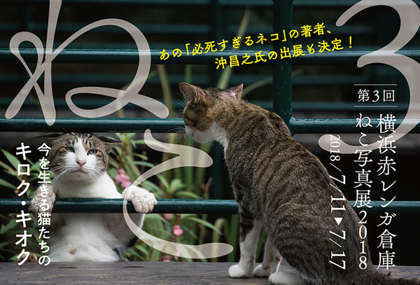 000slide_01