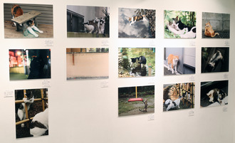 wall1
