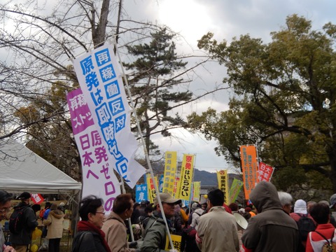 DSCN6574