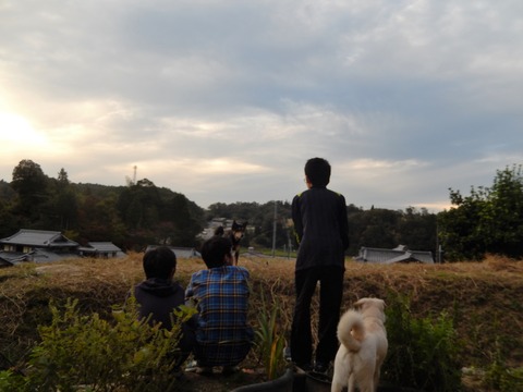 DSCN6050