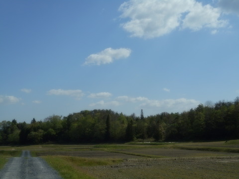 DSCN4642