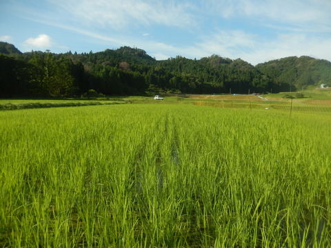 DSCN5358