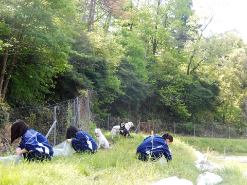 DSCN6870