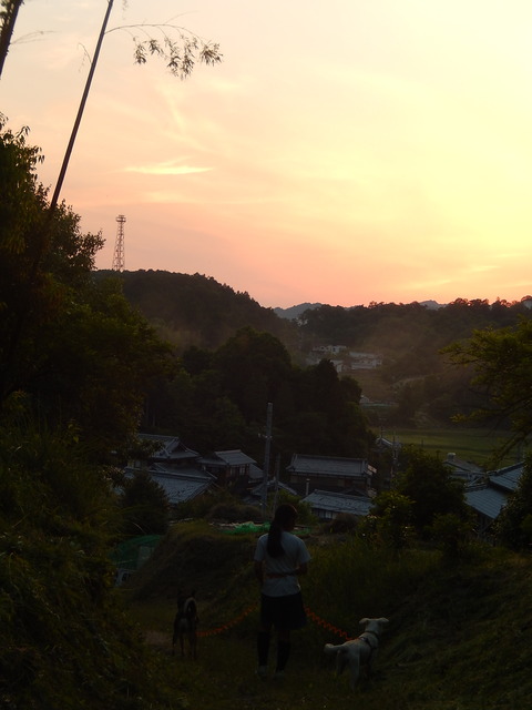 DSCN1853