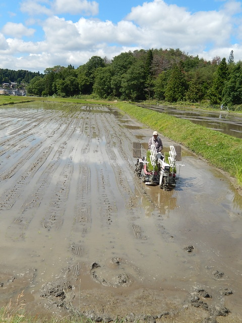DSCN1943
