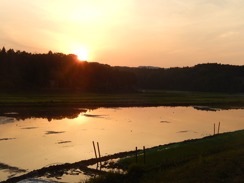 DSCN1848