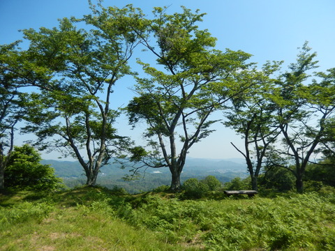DSCN4829