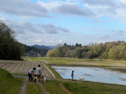 DSCN6849