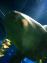e3b80132.jpg