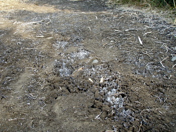 P1280007z