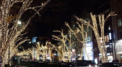 DSC_1028