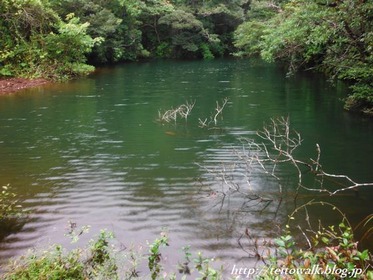 DSCF2386