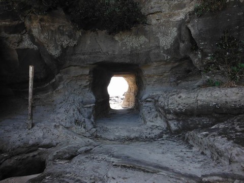 DSCF6195