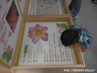DSCF2788