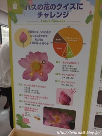 DSCF2789