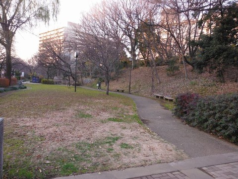 DSCF8834