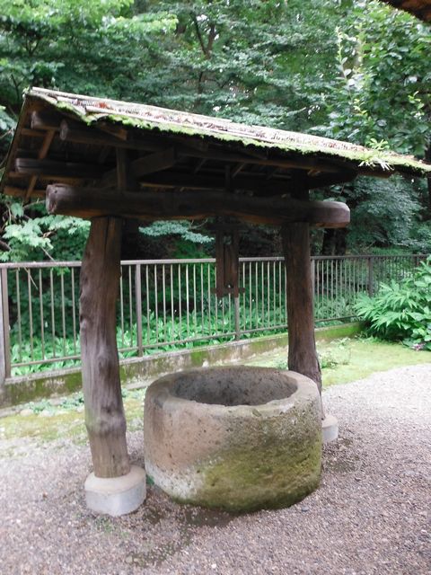 DSCF8381