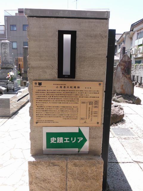 DSCF8303