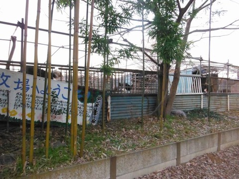 DSCF0614