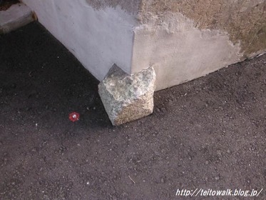 DSCF2815