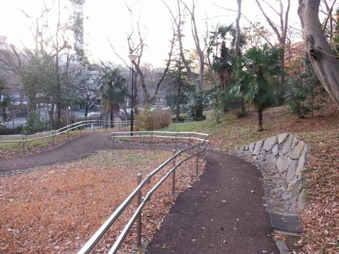 DSCF8830