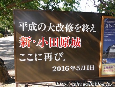 DSCF3427