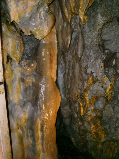 CIMG0610