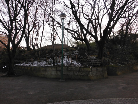 DSCF8883