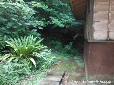 DSCF2660