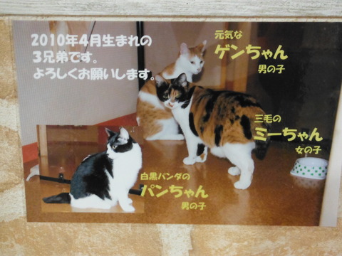 DSCF8918