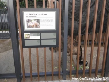 DSCF2779