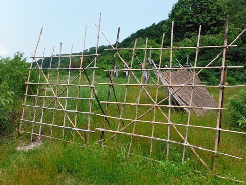 DSCF1056