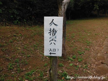DSCF2451
