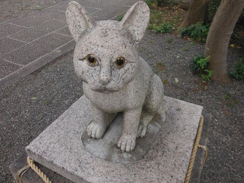 DSCF5991