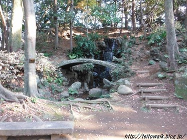 DSCF2932