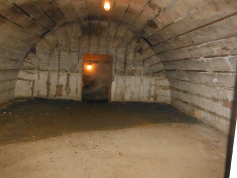 DSCF9536