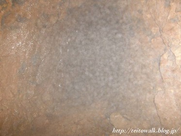 DSCF2654