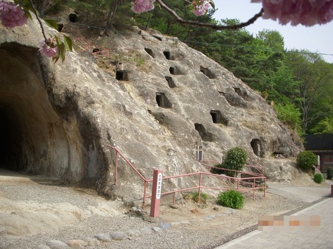 DSCN0218