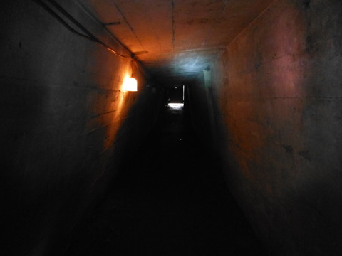 DSCF9551