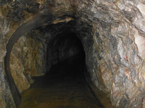 DSCF9929