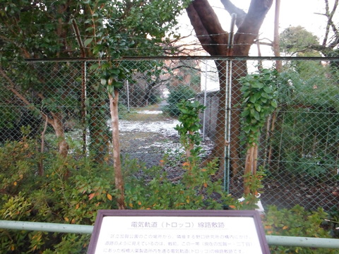 DSCF8882
