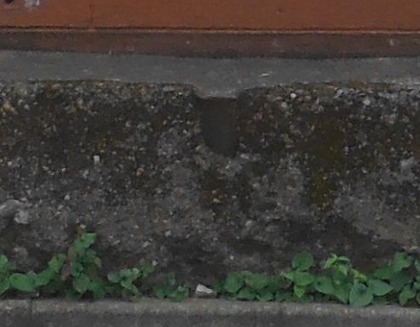 DSCF1347