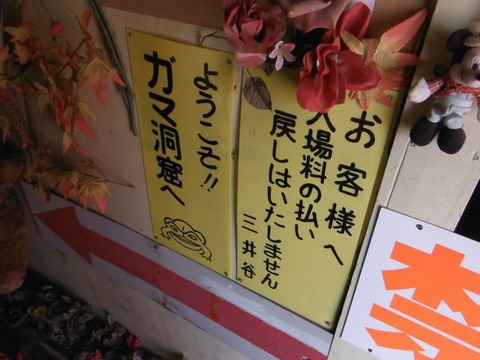 DSCF5163