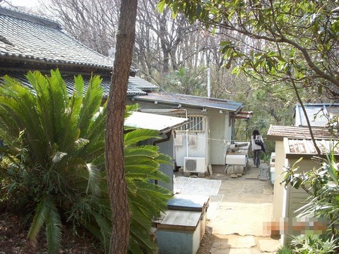 DSCN0162