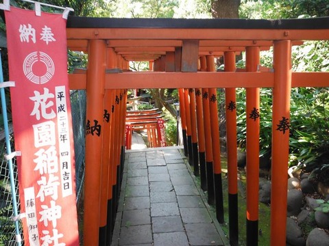 DSCF8546