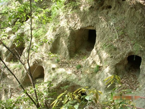 DSCN0219