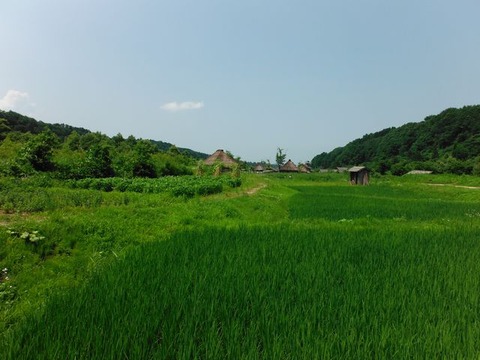 DSCF1066